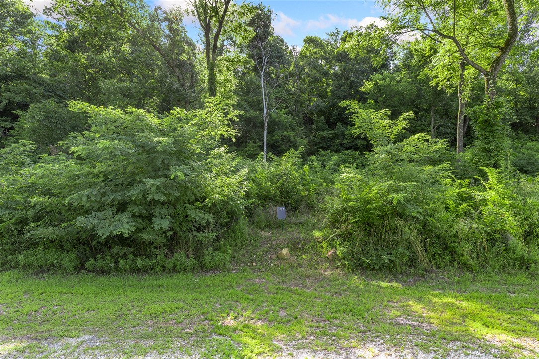 Round Mountain Estates - Land