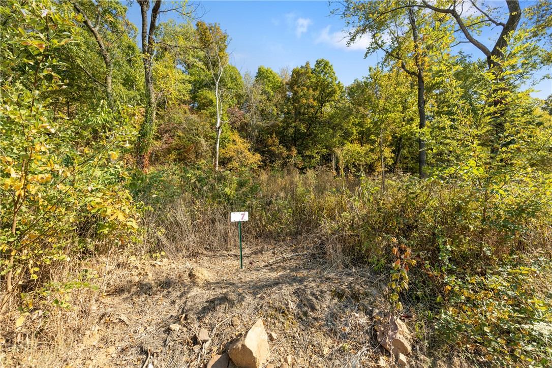 Welcome to Lot 7 (0.40 m/l ac) of Round Mountain Estates. This lot will have seasonal views and could be perfect for that walkout basement you have been wanting. Not one lot is the same in this development so you need to come check out all of them and find the one that works for you. RME is a new, master planned, exclusive subdivision located 10 minutes west of Harrison, AR. The following utilities are already on site making the building process much easier for you; natural gas, fiber optic internet, electric, public water, and sewer. Interested in your family seeing the star lights instead of those city lights? RME is what you've been searching for! RME features a 350 +/- acre common area for its residents that includes a stocked fishing pond, Kissing Rock trail, natural springs to explore, Baby Canyon trail, incredible bluff lines to climb, and views for hundreds of miles that will not only take your breath away but will forever be etched in your memory! Neighborhood amenities coming soon.