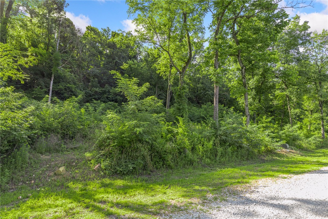Round Mountain Estates - Land