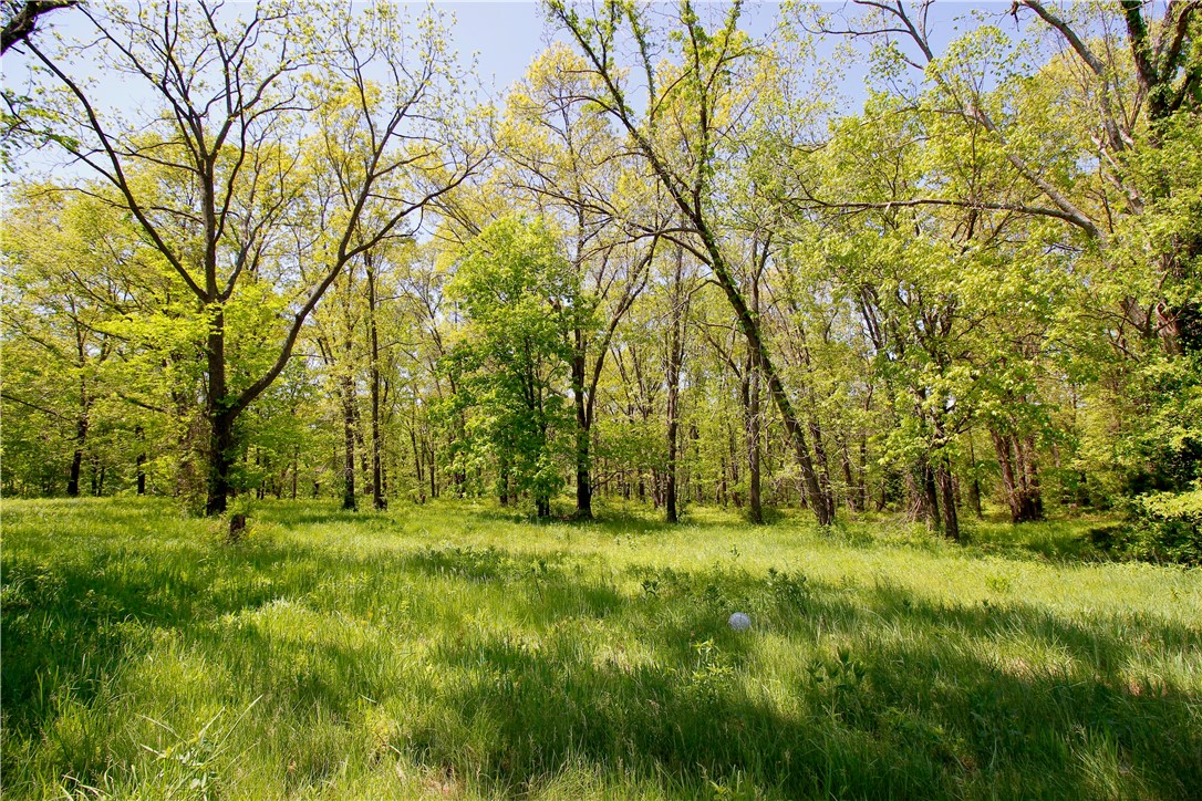 Berryville Outlots - Land