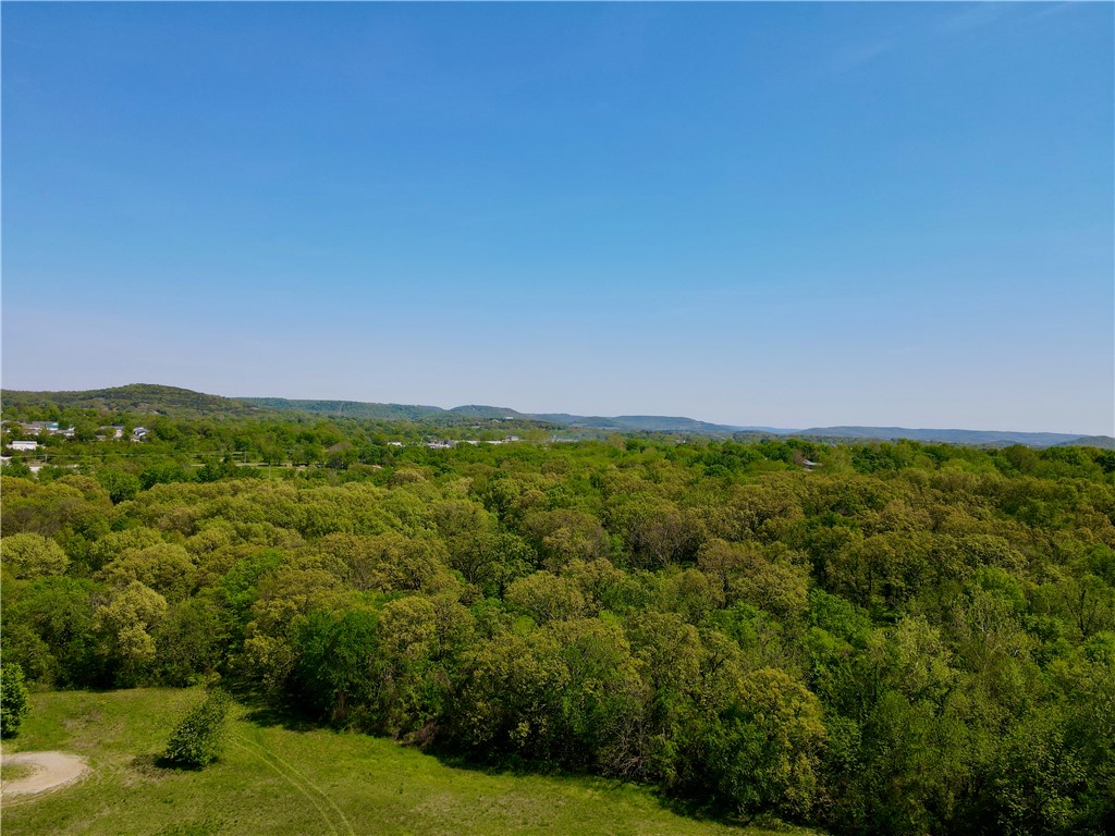 Berryville Outlots - Land