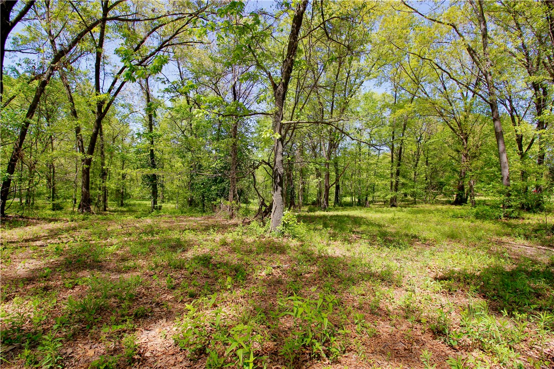 Berryville Outlots - Land