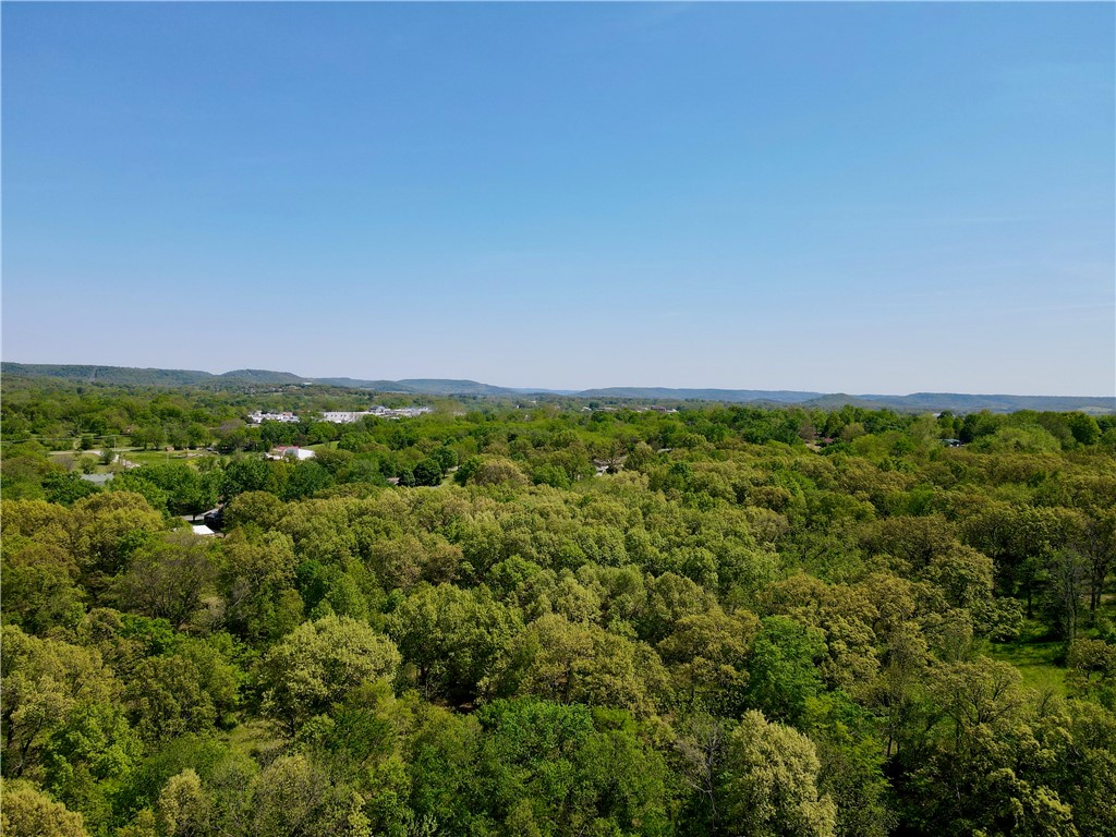 Berryville Outlots - Land