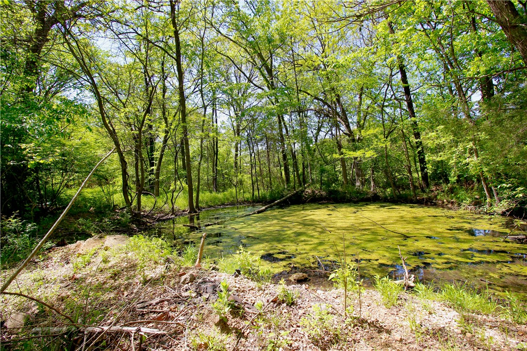 Berryville Outlots - Land