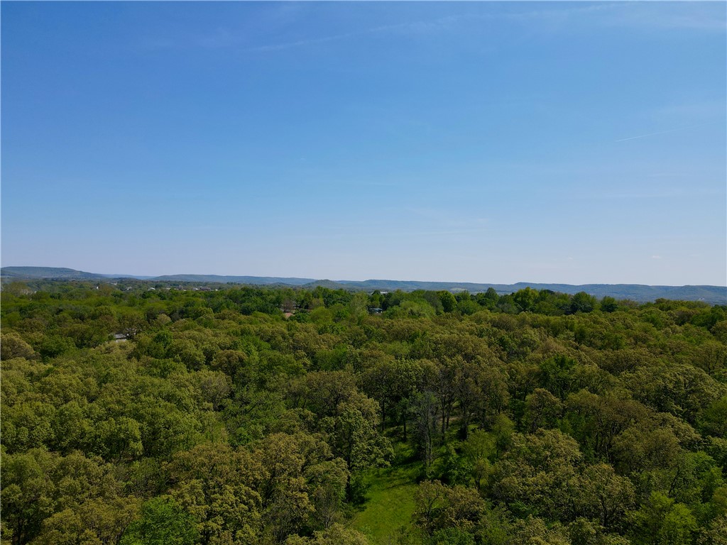 Berryville Outlots - Land