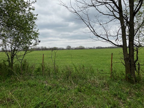 An opportunity like this doesn't come along every day! Here's your chance to own a beautiful property in NW AR! This land could be used for anything, cattle, horses, goats, or build your dream home. Has been used for cattle and already has a pond for water. Electric and water are at the road. Field is mostly flat with a slight slope on the east side. Frenced on all sides. Seller is ready to sell. Make an offer today. Seller is related to agent