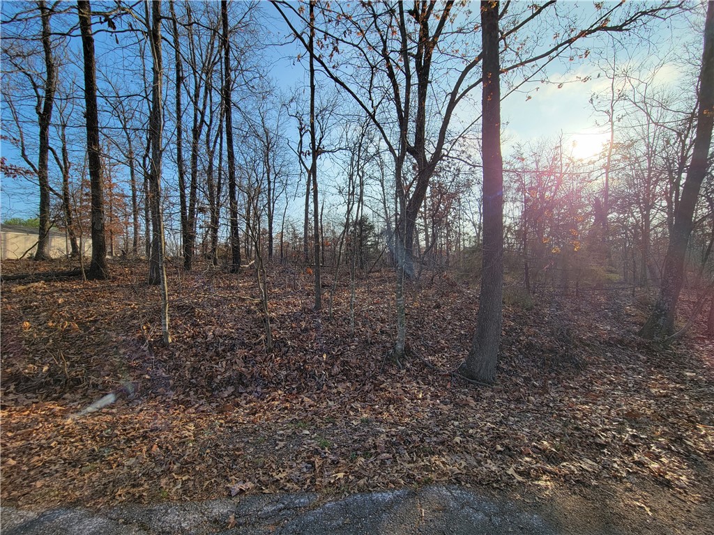 This lot is nearly level and on a cul-de-sac. Perc test passed for a 2-bedroom septic. Sold before print.