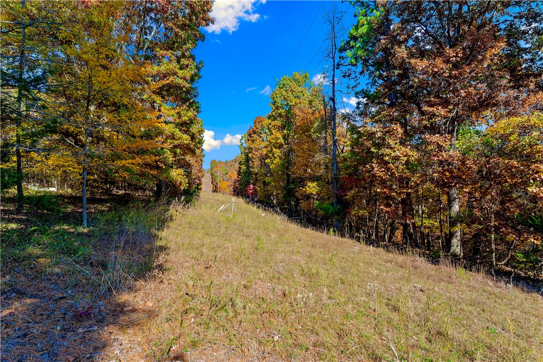 WINDY HILLS ESTATES-RURBAN - Land