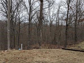 Perfect lot to build your Bella Vista home located on a nice quite street with newer homes, wooded views, peaceful wildlife, access to lakes for fishing, golfing, and trails for riding and walking, Country Clubs, recreation centers. With all the Recent area developments this just might be the best time to invest in such a beautiful area. Perc test available.
