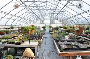 TURN KEY BUSINESS! Put your green thumb to work. This is a well established successful business. The owners are just ready to retire. This plant nursery is set up for year around business with climate controlled green houses. This lets you collect income all year as well as start your own plants early and not rely completely on vendors for your inventory. This saves money and you control the quality. In addition to the business this listings also comes with a very nice three bedroom home complete with a two car garage. There is a nice shop building. Plus, three other home spots. All this and still room to expand the business. It could be ''you pick'' berries, a pumpkin patch, or just more green houses. You're only limited by your ambition.