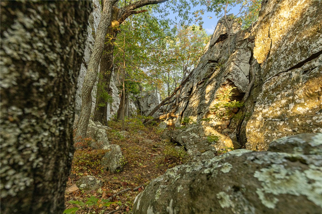 Round Mountain Estates - Land