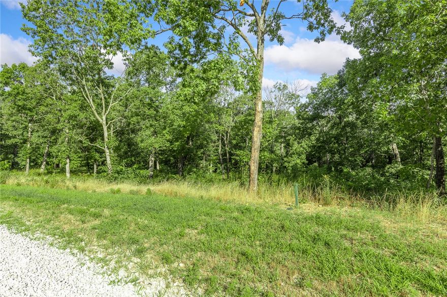 The groundwork is already done for you!  This lot comes fully equipped with underground utilities already in place, including natural gas, fiber optic internet, electric, public water, and sewer. No waiting, no guesswork, no costly setup—just a smooth, ready-to-build opportunity from day one. RME is the newest subdivision in Harrison, AR. If you’ve been dreaming of trading city lights for star-filled skies, RME delivers. Beyond your homesite, you’ll have access to a 350 acre common area reserved for residents, featuring a stocked fishing pond, Kissing Rock Trail, natural springs, Baby Canyon Trail, striking bluff lines and views that stretch for miles.  *Terrapin Creek Rd will be paved in the future, per county officials.