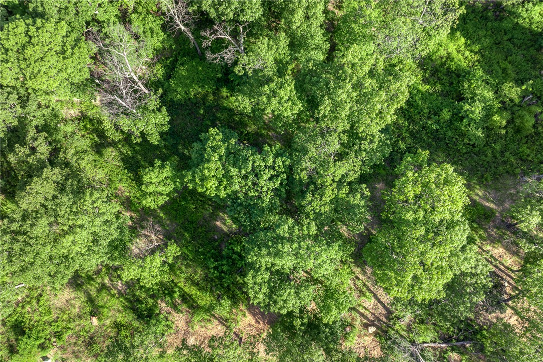 Round Mountain Estates - Land