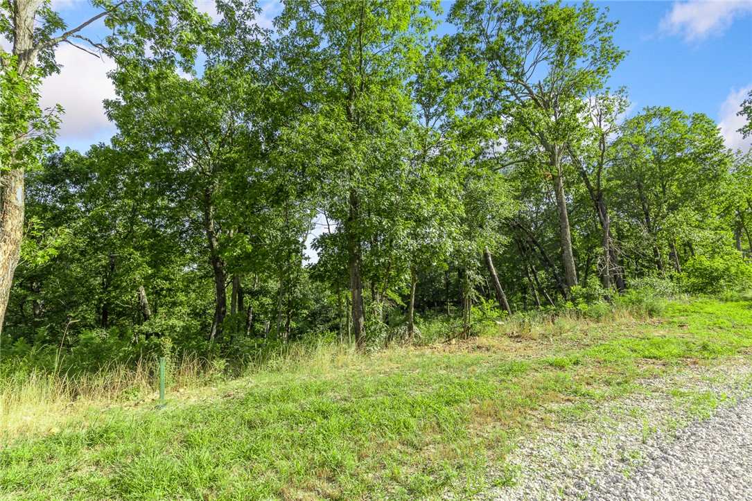 Round Mountain Estates - Land