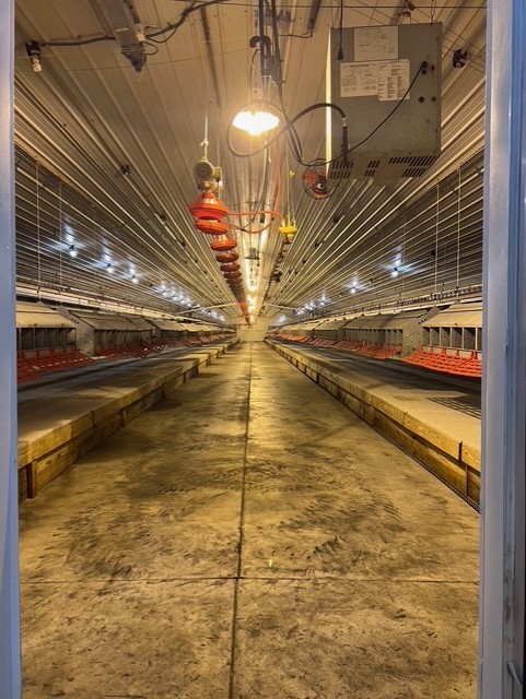 Ozark Orchard Co Sub Rurban - Farm