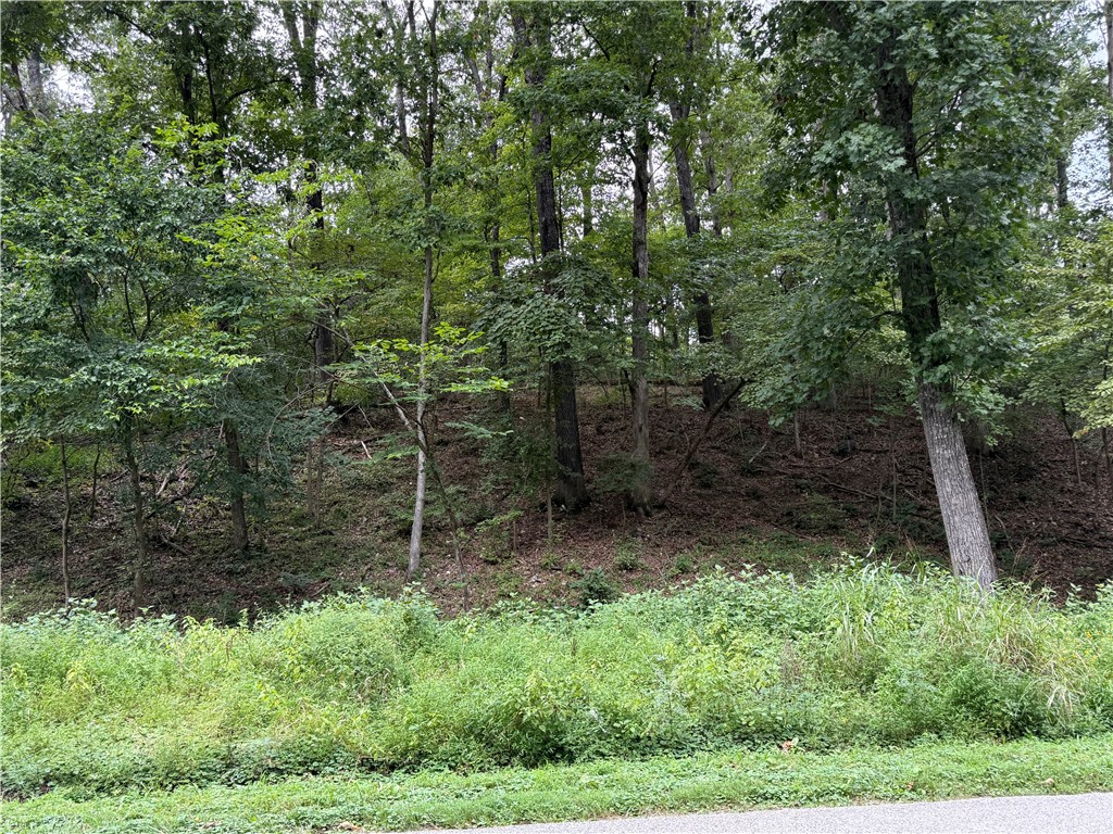 Discover 1.23 acres in the heart of Little Flock, just 15 minutes from the brand-new Walmart Home Office. This beautiful wooded lot offers both privacy and convenience, with a gentle slope that provides character without limiting build options. A perc test was completed in 2022 when the current owner purchased, giving you a head start on your future plans. With water and electric already available at the street, this property is ready for your dream home or investment vision. Enjoy the peaceful setting of Little Flock while staying close to Bentonville’s amenities, dining, and growth.