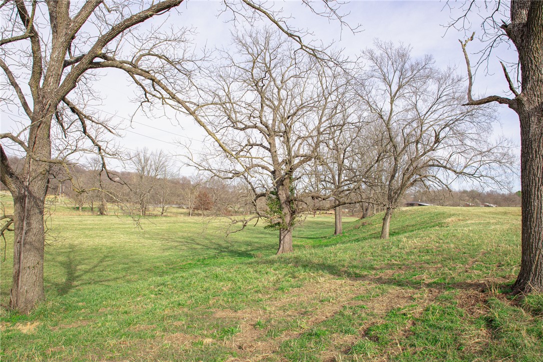 Tontitown Outlots 2000 Annex - Land