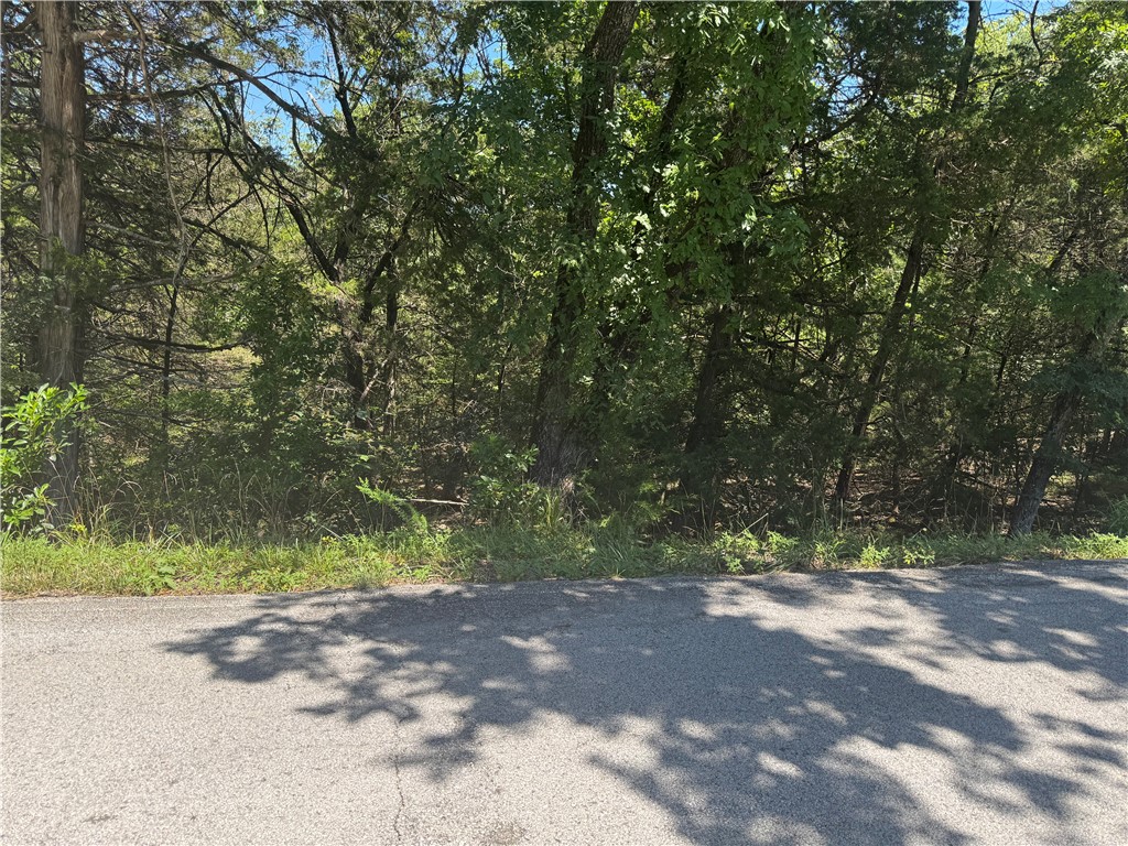 Lake front 3.0 acres with 2 boat slips in co-owned dock.