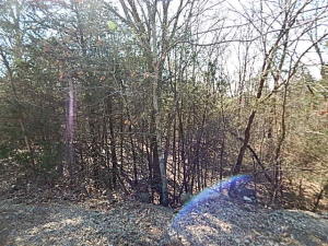 Lot 6 Block 3 Standley Acres, also 4.21 acres adjoining lot total 4.67 acres M/L wooded private building sites.