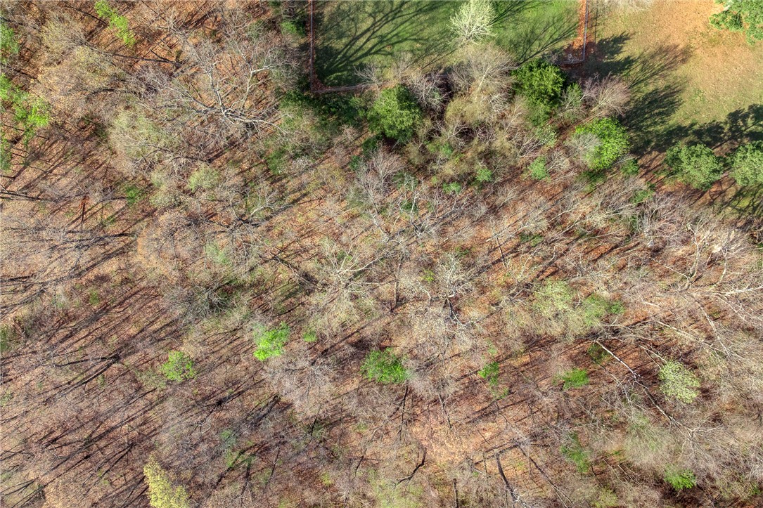 Pine Meadows - Residential