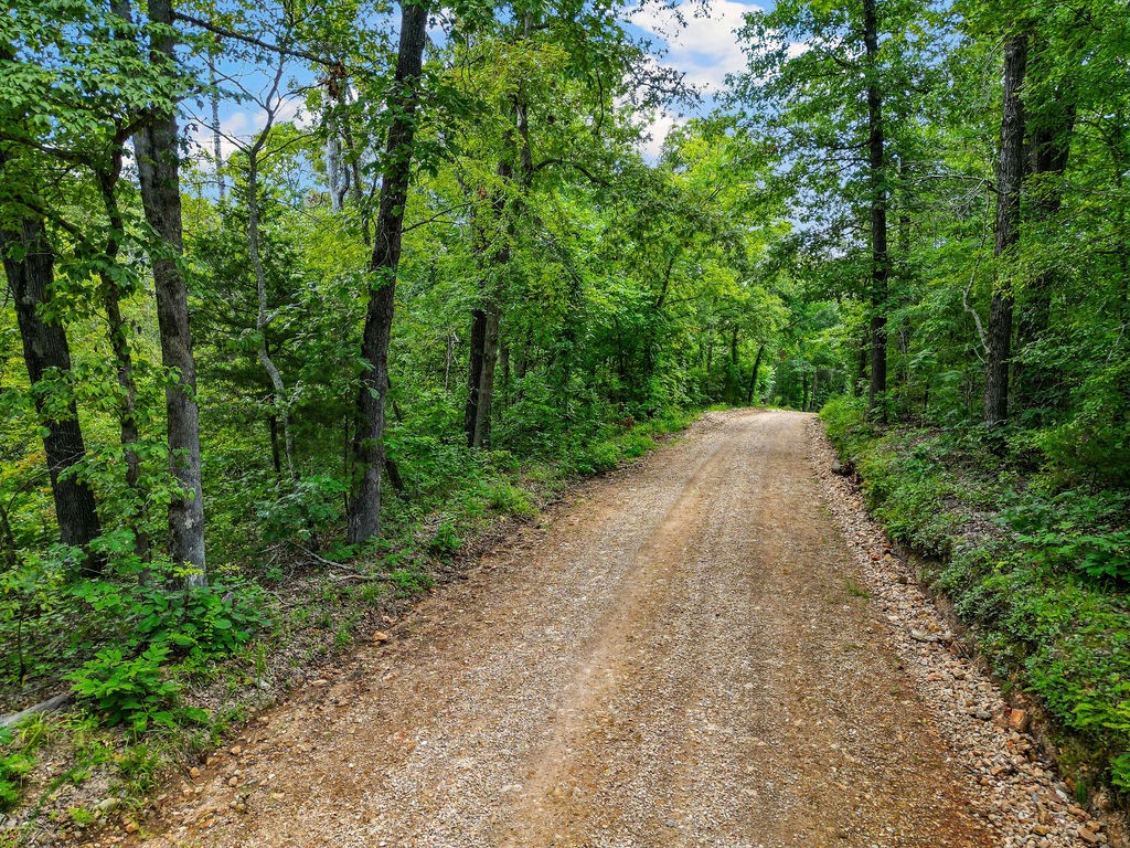 Photo 1 of 16 — 1106 Boone Hollow Road, Powell, MO 65730