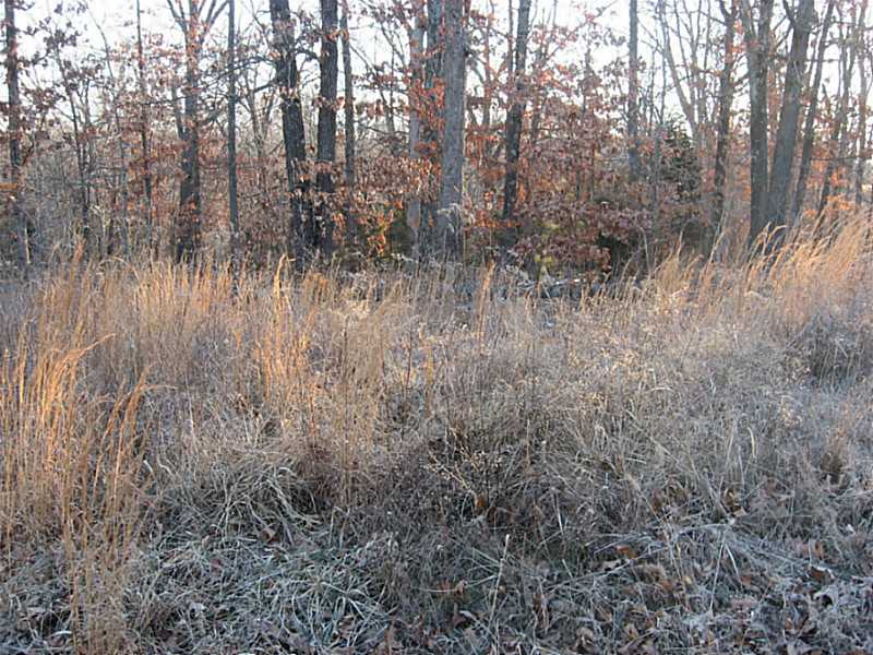 GREAT Buildable large lot, not much slope, in a area of good homes.