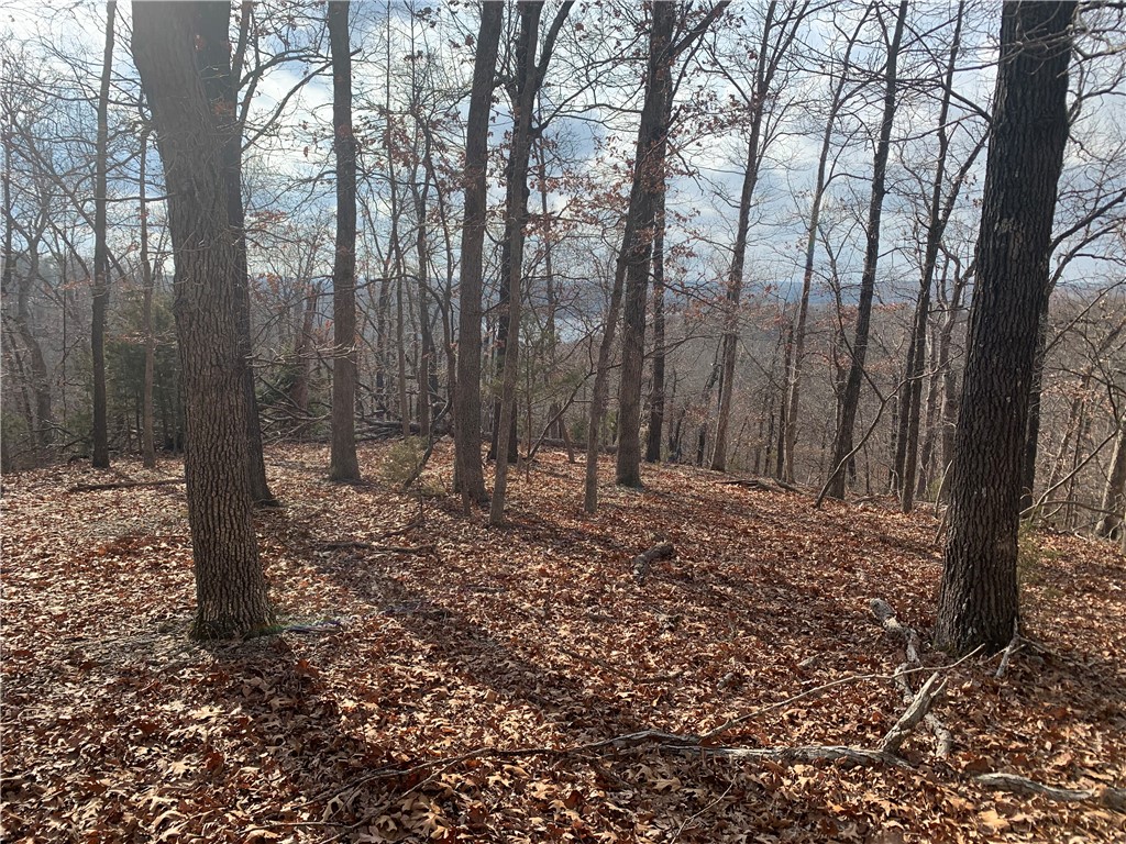 31-20-27 Rural - Land