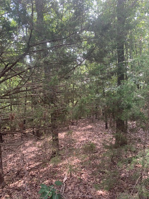 31-20-27 Rural - Land