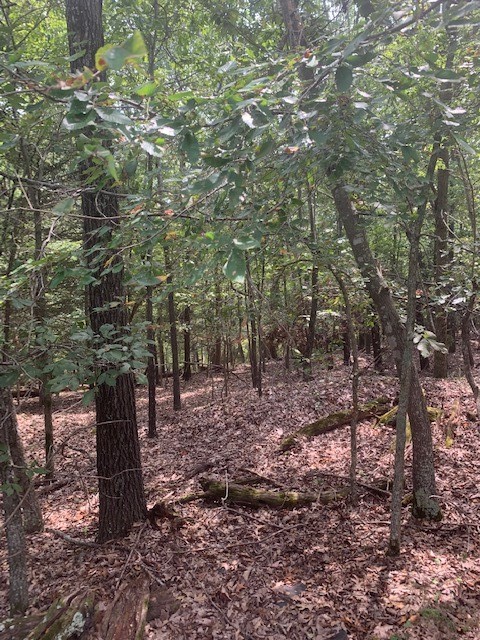 31-20-27 Rural - Land