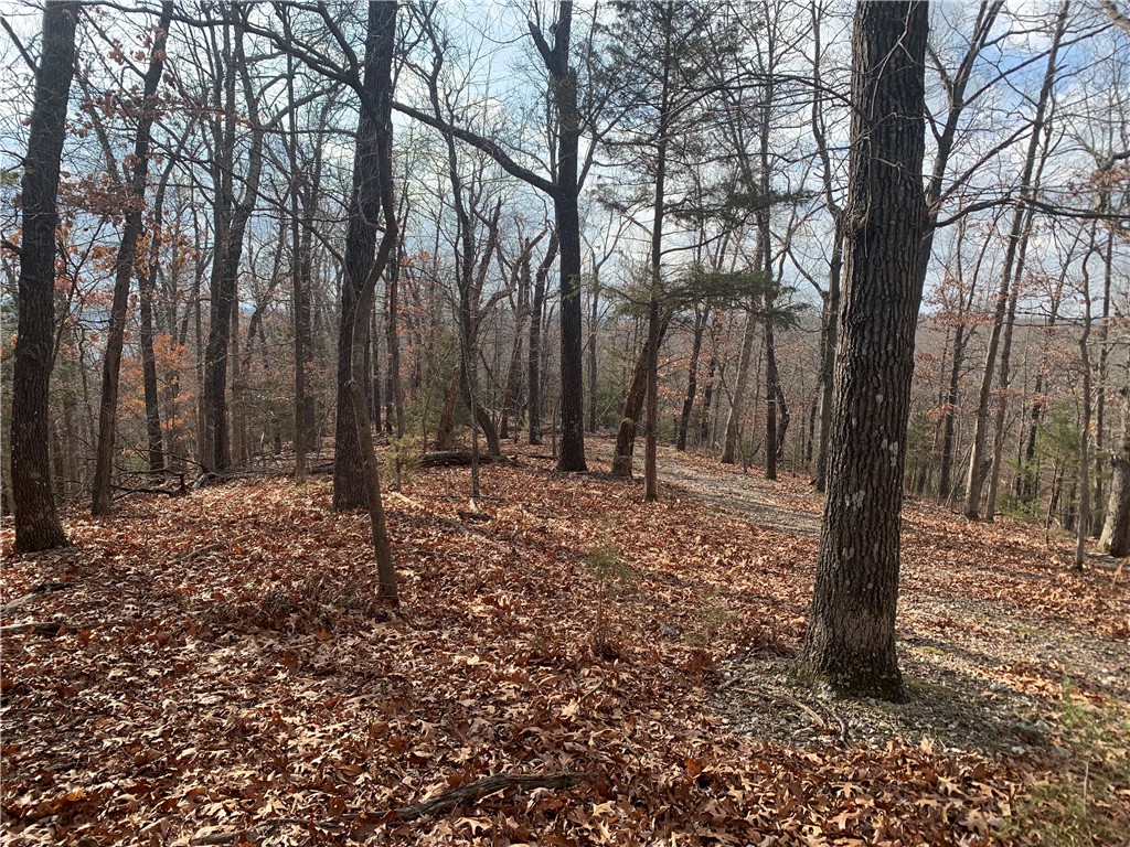31-20-27 Rural - Land
