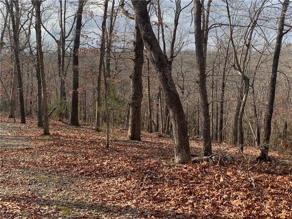 31-20-27 Rural - Land