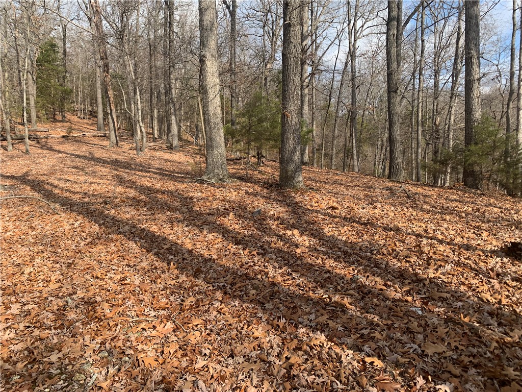 31-20-27 Rural - Land