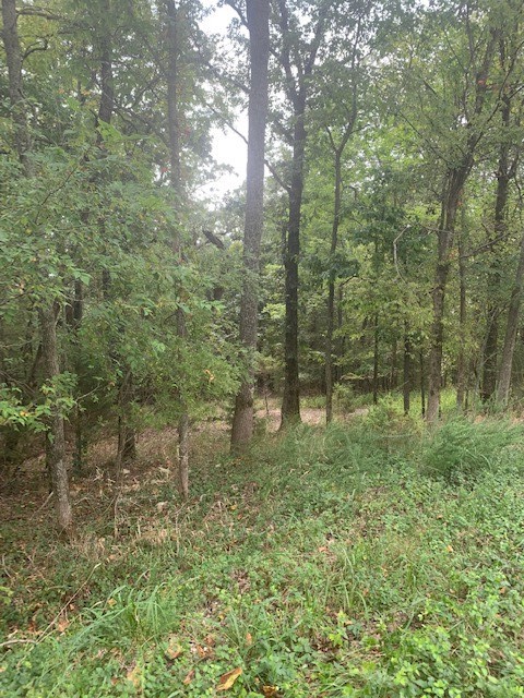 31-20-27 Rural - Land