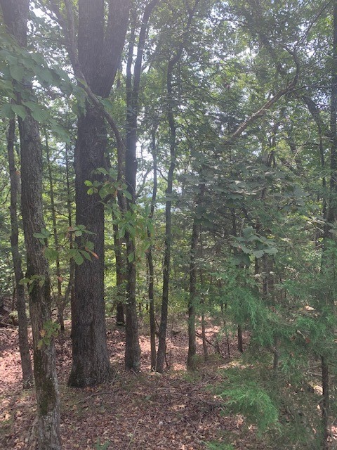 31-20-27 Rural - Land