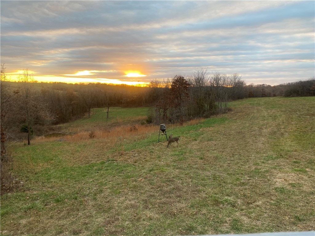 This property is for Deer Hunters, make that serious deer hunters who understand that location is key. Sometimes smaller acreage properties are located right in the perfect spot, and this is one of those properties. Thick brushy timbered ravines meander through green cattle pastures connecting larger chunks of timber. A creek bottom is located at the bottom of the ravine. A nice food plot and pond with great views overlooking the hills to the south. Let the pictures from this past season tell you the story.