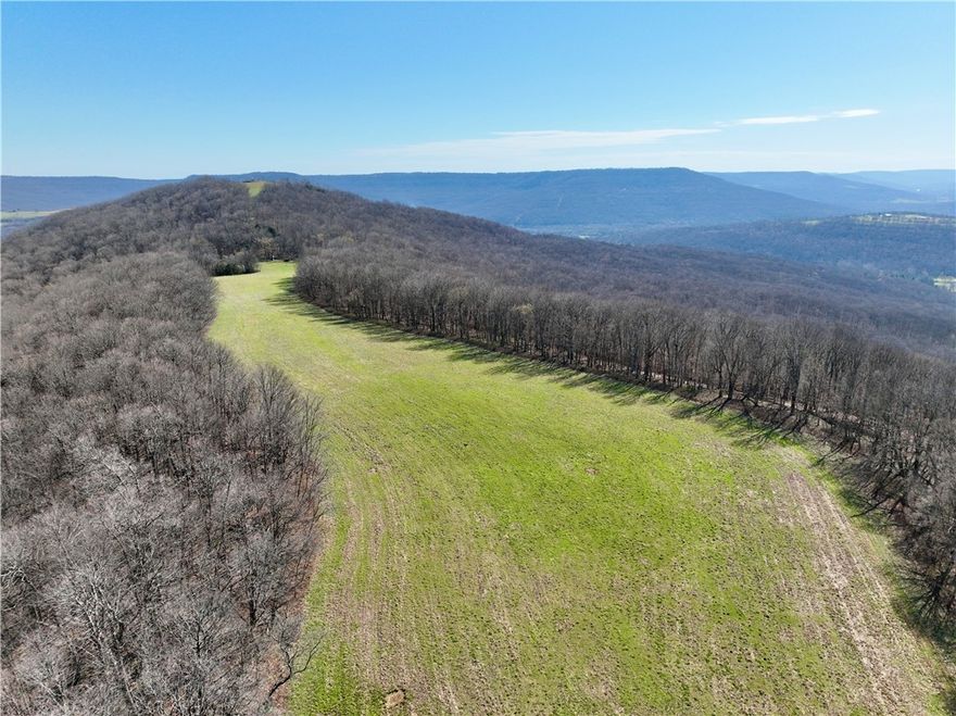 375-acre property in Madison County, Arkansas, near Crosses. Gated access with private drive, established trails, ponds, and natural springs. Features a mix of hardwood timber and open areas. Wildlife includes deer, turkey, and bear. Electric nearby. Located about 20 miles from Elkins and 30 miles from Fayetteville.