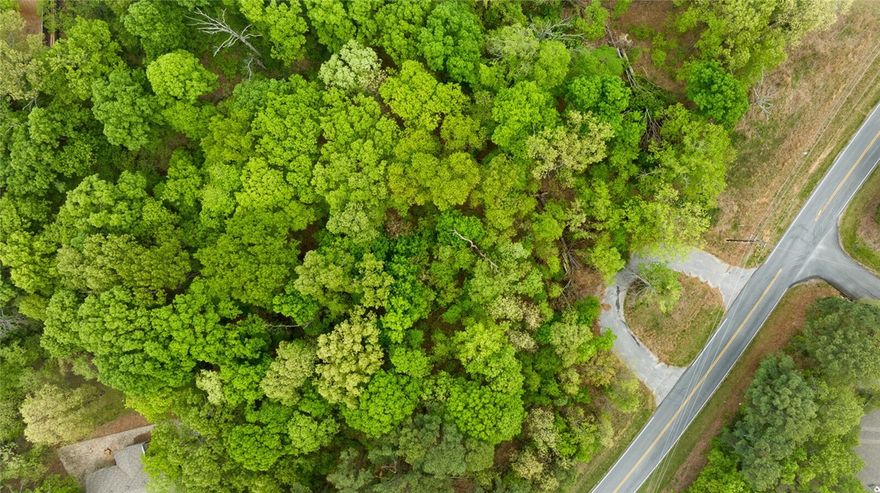 Looking for an amazing space to build your home, here it is!! Wooded area behind and beside the lot rested on the corner with only two lots on the street making this lot a great option for a little privacy and views of some wildlife. The nearby Branchwood Nature Trail is a 1.5 mile paves walking and biking trail winding through the natural rolling hills of the Ozark with scenic bridges and benches for resting. Don't miss this opportunity as it won't last long.