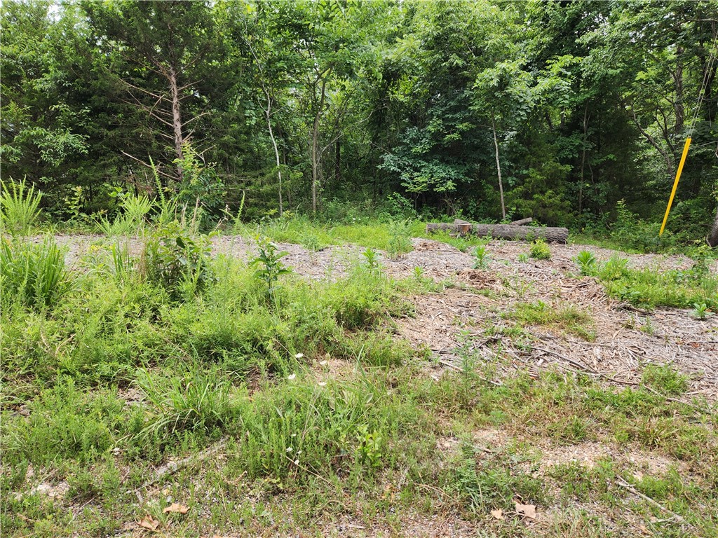 Less than 10 minutes to the onramp to Hwy 49, Highlands Golf & Pub, Branchwood Rec Center, Stoneykirk Boat Ramp, K9 Dog Park, and the Scotsdale Golf Course! This lot is the perfect blend of serenity and convenience nestled in a peaceful neighborhood with very few homes; a captivating mountain resort ambiance. Tranquility minutes away from shopping, art museums, and the energetic bustle of town life. Indulge in the Bella Vista amenities including public parks, scenic golf courses, swimming pools, picturesque trails, and lakes.