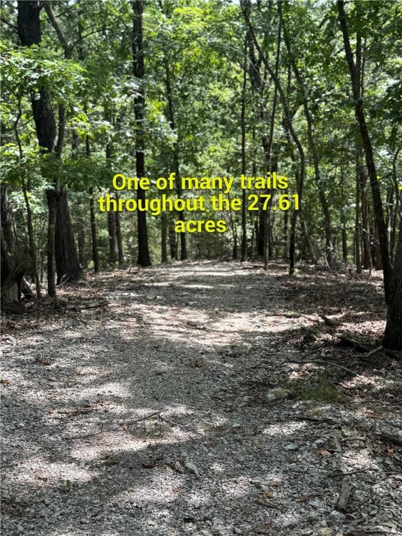 Timber Lake Estates - Land