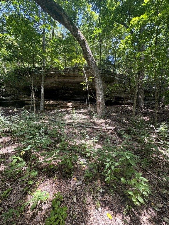 Timber Lake Estates - Land