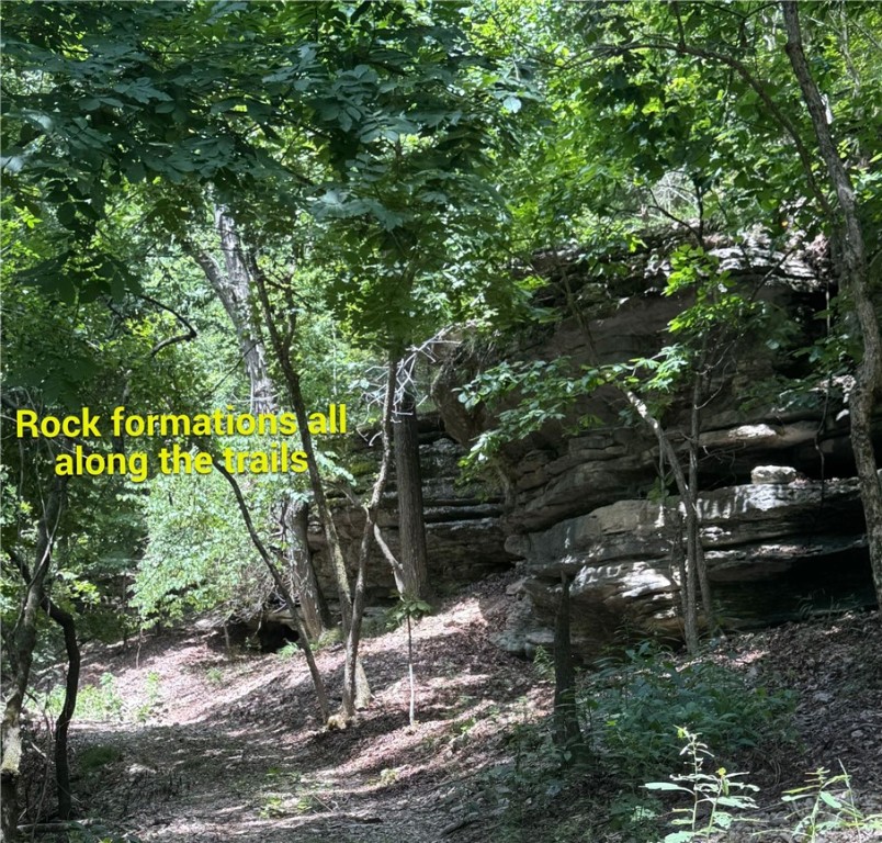 Timber Lake Estates - Land