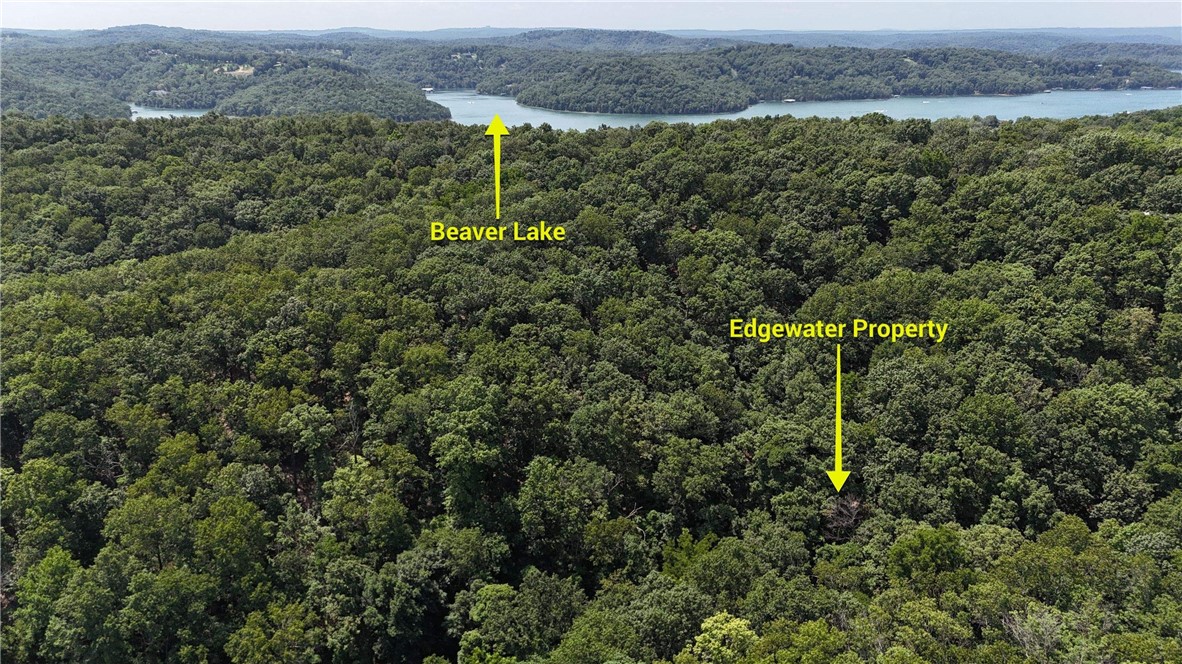Timber Lake Estates - Land