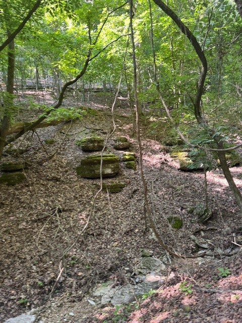 Timber Lake Estates - Land