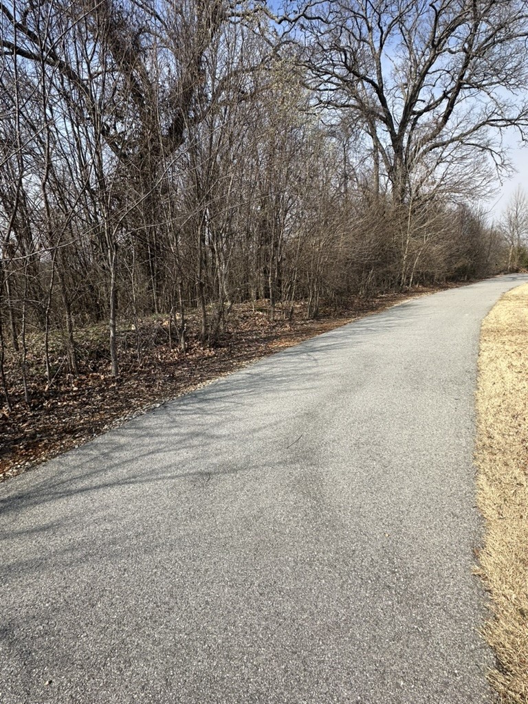 Lakewood Sub Ph Iii Lowell - Residential