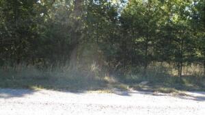 Old Piney West Est - Land