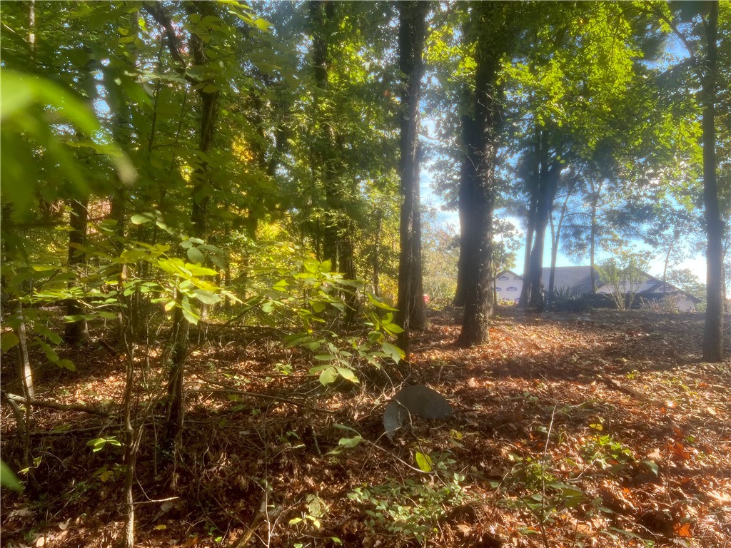 Lancashire Sub Bvv - Land