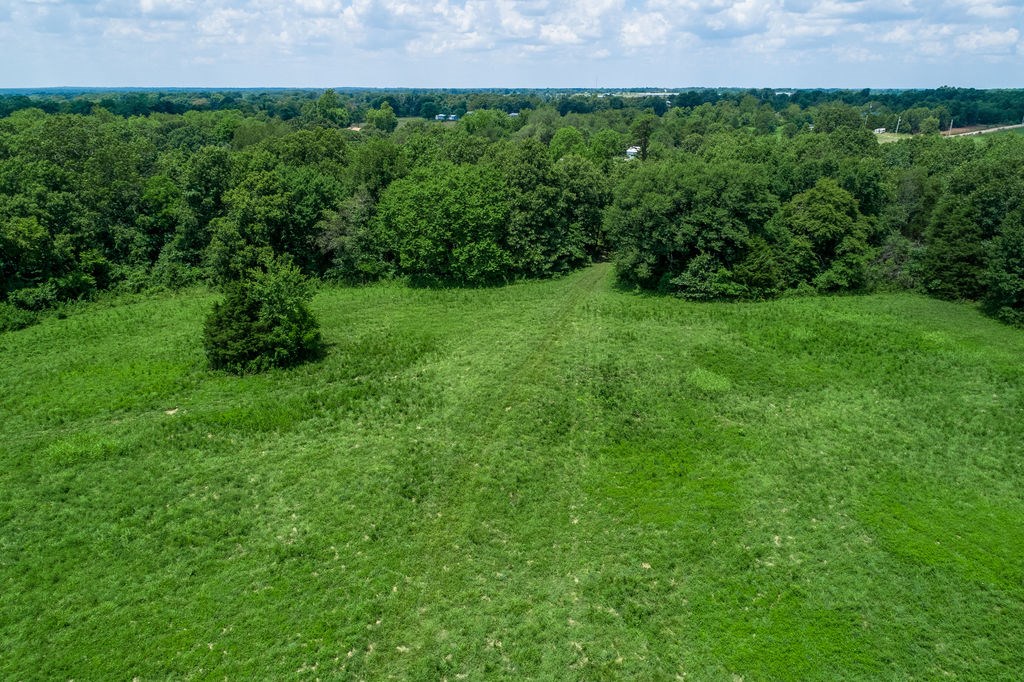 SUBDIVISION 20-20-31 CENTERTON - Land