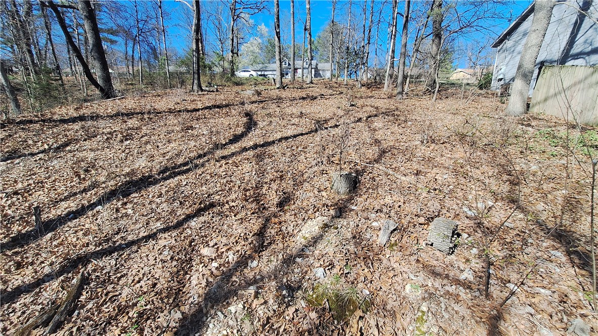 This Bella Vista lot offers a fantastic location for outdoor lovers and adventure seekers. The property is partially cleared and features a slope. Located just minutes from the scenic Tanyard Creek trails, Lake Avalon, Bella Vista Country Golf Club, and the adrenaline-pumping Huntley Gravity Park, you'll have easy access to some of the area's best hiking, biking, and outdoor recreation. Whether you're planning your forever home or a weekend getaway, this lot is a prime spot to enjoy nature, adventure, and convenience all in one.