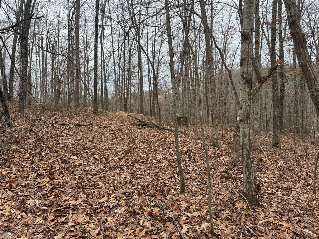 16.22 acres located in Newton County, Arkansas. Property has Hwy 123 frontage with access to rural water and electric.