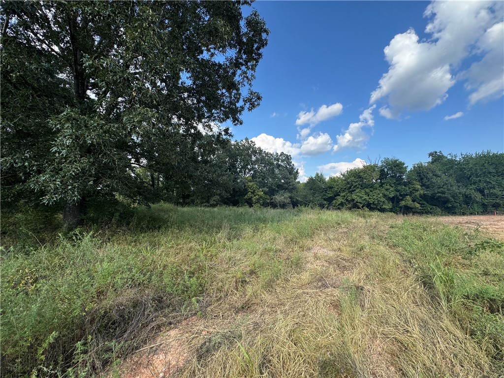This amazing 1-acre lot offers the perfect opportunity to design and build your dream home in a prime location. Just minutes from XNA and centrally located in Northwest Arkansas, this property combines convenience with plenty of space to create the lifestyle youāve been envisioning.
Area and subdivision amenities include: nature preserve, waterfall and little osage creek! This lot lays really nice and has mature trees! ***Multiple offers received. Seller will review highest and best at noon on August 22.
With room to spread out and easy access to all that NWA has to offerāincluding shopping, dining, entertainment, and outdoor recreationāthis lot is the ideal canvas for your future home. High end new homes all around!
Donāt miss the chance to secure this rare find in a highly desirable area!